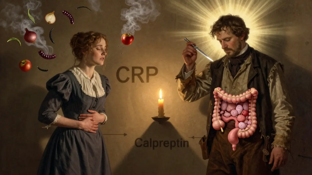 A symbolic split scene showing dietary relief for IBS on one side and medical intervention for IBD on the other, rendered in Howard Pyle's illustrative style.